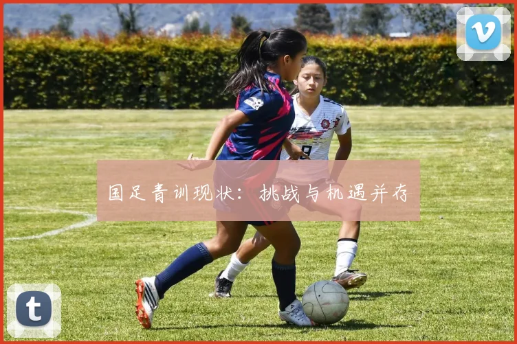 国足青训现状：挑战与机遇并存