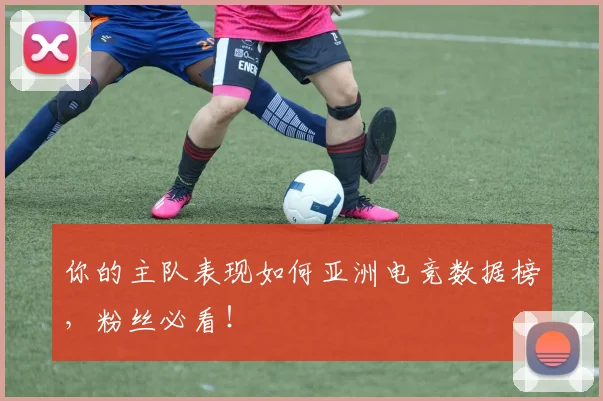 你的主队表现如何亚洲电竞数据榜，粉丝必看！