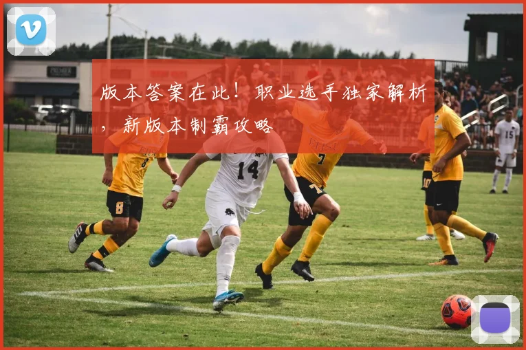 版本答案在此!职业选手独家解析,新版本制霸攻略